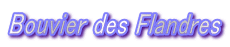 Bouvier des Flandres