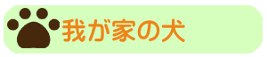 我が家の犬