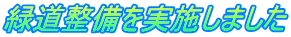 緑道整備を実施しました