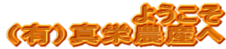 �悤���� �i�L�j�^�h�_�Y��